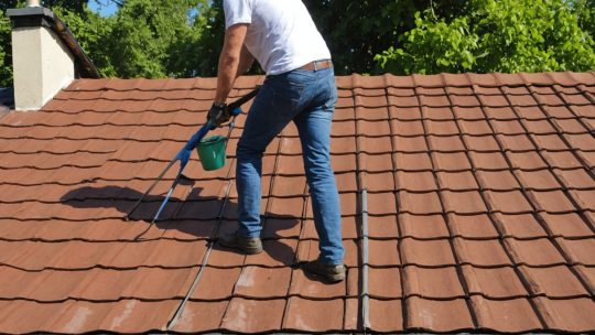 Comment réussir le nettoyage de votre toiture en Gironde : le guide complet par Vivre à Paris